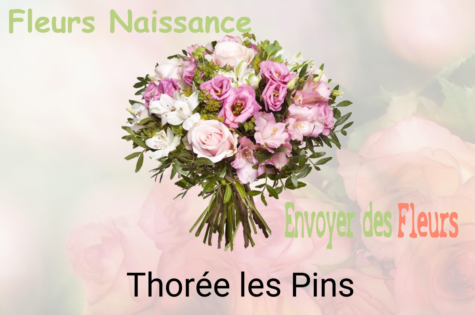Bouquet de fleurs de naissance livré à Thorée-les-Pins